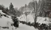 Trail Walking La Bresse - la bresse - le moutier des fées  - Photo 6