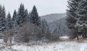 Tocht Te voet okres Ružomberok - Medvedia cesta - Photo 8