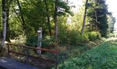 Trail Walking Sentheim - Sentheim Bellemagny Sentheim  - Photo 15