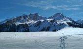 Excursión Esquí de fondo Ormont-Dessous - les mosses/pra croset - Photo 4