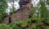 Tour Wandern Windstein - Windstein - Photo 5
