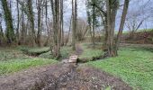 Randonnée Marche Braine-le-Comte - Château de Bornival par le vieux canal - Photo 3