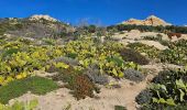 Tour Wandern La Croix-Valmer - GIGARO . cap Taillat. AB -1 - Photo 1