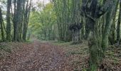 Trail Walking Douchy-Montcorbon - Douchy 45 Ginette René  - Photo 8