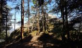 Trail Walking Thann - Thann - oeil de la sorcière - rocher d'Ostein - camp de Turenne - Molkenrain - chëne Wotan - croix du Rangen - Photo 9