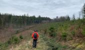 Trail Walking Bouillon - Noordelijke bossen Bouillon 15 km - Photo 2