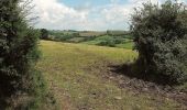 Percorso A piedi Teignbridge - Tedbury Circular Walk - Photo 1