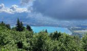 Trail Road bike Le Bourget-du-Lac - Le relais du Mont du Chat - Photo 1