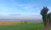 Trail Walking Theux - tillot . hodbomont . mont . wisselez . tillot - Photo 3