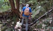 Trail Walking Salazie - Cascade Blanche - Photo 1