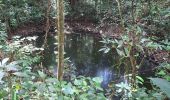 Tour Wandern Rivière-Salée - Rivière Salée - Les Trois-Ilets - Le Défi 2025 - Photo 13