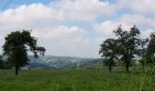 Trail Walking Liège -  Jupille-sur-Meuse - Photo 4