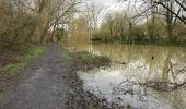 Tocht Stappen Erkegem-aan-de-Leie - Erquinghen-Lys inondations 12 km - Photo 1