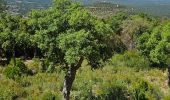 Tour Wandern Bagnols-en-Forêt - Gorges du Blavet - Photo 2