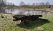 Tocht Stappen Horst aan de Maas - Schadijkse Bossen - Photo 3