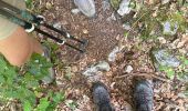 Percorso Marcia Saint-Agnan-en-Vercors - Le jasse du play retour  - Photo 1