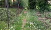 Trail Walking Anderlues - Balade Lobbes-Thuin-Anderlues  - Photo 17