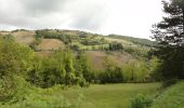 Trail On foot Marradi - IT-5 - Photo 6