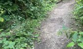 Trail Walking Bassenge - Fort Eben-emael 11 Km  - Photo 17
