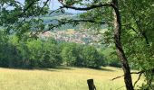 Tour Wandern Figeac - Etape13 Figeac a Carjac - Photo 6