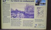 Tour Wandern Mont-d'Origny - bernot-macquigny  - Photo 1