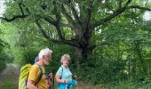 Trail Walking Ciney - Les Basses - Photo 18