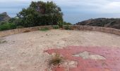 Tocht Stappen La Ciotat - la ciotat calanques depuis ND de la Garde - Photo 3