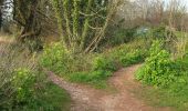 Tocht Te voet South Hams - Greenway Walk - Photo 8