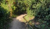 Excursión Senderismo Laroque-des-Albères - la Roque des Albères canal - Photo 6