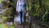 Trail Walking Santana - PR9 Levada do caldeirao verde - Photo 5