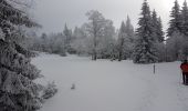 Randonnée Raquettes à neige Autrans-Méaudre en Vercors - La Quoi La Grande Brèche 2020 - Photo 2