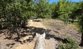 Trail Horseback riding Simiane-la-Rotonde - Provence 2025 J4 - Photo 9