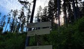 Trail Walking Chamonix-Mont-Blanc - La Jonction depuis le parking de Mont (Chamonix) - Photo 10