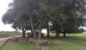 Tocht Stappen Durbuy - Les Dolmens de Wéris  - Photo 12