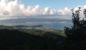 Tocht Stappen Les Trois-Îlets - Morne Gardier - Morne du Riz - Photo 7