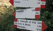 Tour Zu Fuß Sant'Ambrogio di Valpolicella - Gargagnago - Cavalo - Photo 6