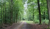 Trail Walking Martelange - Martelange, Bois d’Anlier, Passerelle des oiseaux - Photo 7