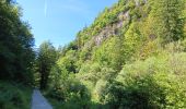 Tour Wandern Villard-Saint-Sauveur - cascade de flumen - saut du chien - retour en partie par la route  - Photo 12