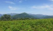 Tour Wandern Ispoure - Pic D'Arradoi  au départ d' Isbourre - Photo 4