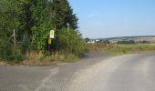 Tour Zu Fuß Hofgeismar - Hofgeismar - Carlsdorf - Photo 1