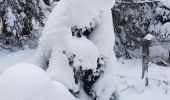 Randonnée Raquettes à neige Châtelblanc - raquette jura j2 - Photo 2
