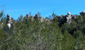 Trail Walking La Roquebrussanne - la roquebrussanne - Photo 7