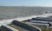 Tocht Stappen La Flotte - Île de Ré  la flotte - Photo 18