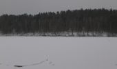 Tour Zu Fuß Michendorf - Balken grün Caputh - Lienewitzseen - Photo 1