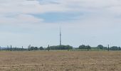 Randonnée Marche Lennik - 20220814 Lennik WSV Windheren 10 km - Photo 14