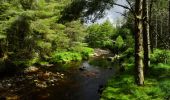 Trail On foot Westport-Belmullet Municipal District - Botky Teep - Photo 4