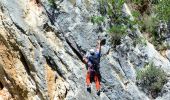 Excursión Senderismo Ollioules - SityTrail - 1041295 - le-destel-grotte-des-joncs - Photo 14