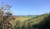 Tour Wandern Sankt Vith - Lommersweiler vallées de l’Our - Photo 9