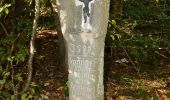 Tour Zu Fuß Niederelbert - Kadenbacher Rundwanderweg K3 - Photo 2