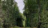 Excursión Senderismo Bouteville - Bouteville : Sentier des Chaumes Boissieres - Photo 10